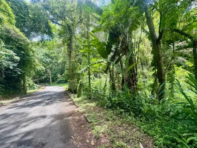 Lote/Terreno à venda, 6971m² no Centro, Nova Friburgo