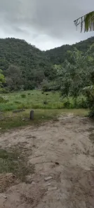 Lote/Terreno à venda, 13561m² no São João do Rio Vermelho, Florianópolis