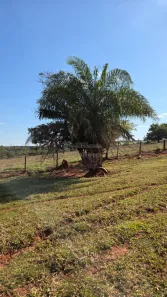 Fazenda/Sítio com 3 Quartos à venda, 300m² no Área Rural de Fernandópolis, Fernandópolis
