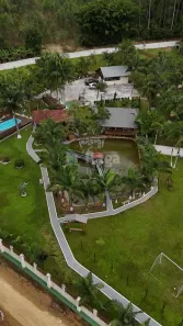 Fazenda/Sítio com 3 Quartos à venda, 6500m² no Moura, Canelinha