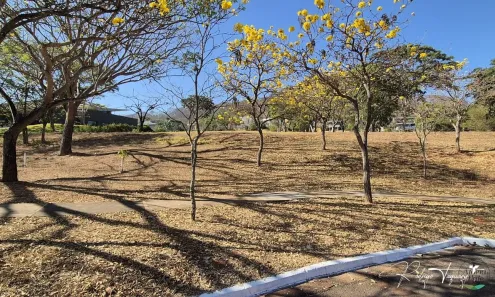 Lote/Terreno à venda, 1929m² no Residencial Aldeia do Vale, Goiânia