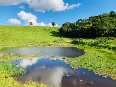 Fazenda/Sítio à venda, 620000m² no , Serraria