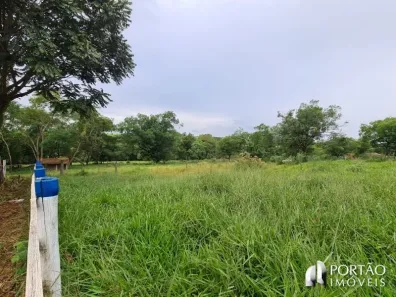 Fazenda/Sítio à venda, 1m² no Guaianás, Pederneiras