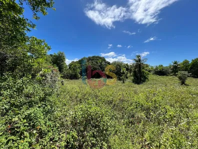 Lote/Terreno à venda, 10000m² no , Porto Seguro