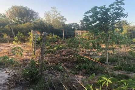 Fazenda/Sítio à venda, 7050m² no , Cruz