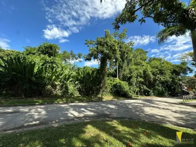 Lote/Terreno à venda, 155m² no Itamambuca, Ubatuba