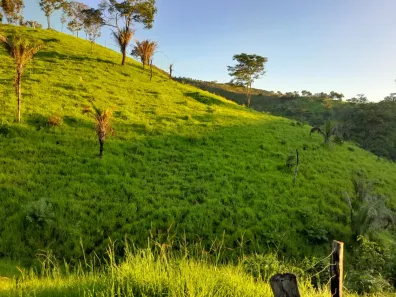 Fazenda/Sítio com 2 Quartos à venda, 2640000m² no , Padre Bernardo