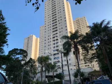 Apartamento com 3 Quartos para alugar, 75m² no Moinho Velho, São Paulo