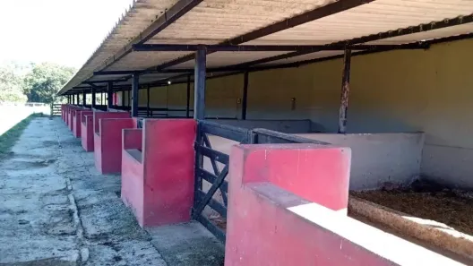 Fazenda/Sítio com 3 Quartos à venda, 45000m² no centro, Paraopeba