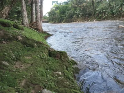 Fazenda/Sítio com 3 Quartos à venda, 1500m² no , Morretes