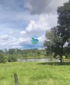 Fazenda/Sítio com 6 Quartos à venda, 200m² no Setor Central, Amaralina