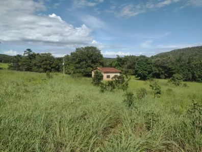 Fazenda/Sítio à venda, 462600m² no Área Rural de Goianésia, Goianésia