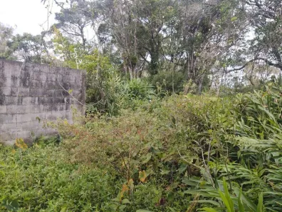 Lote/Terreno à venda, 275m² no Luíza Mar Mirim, Itanhaém