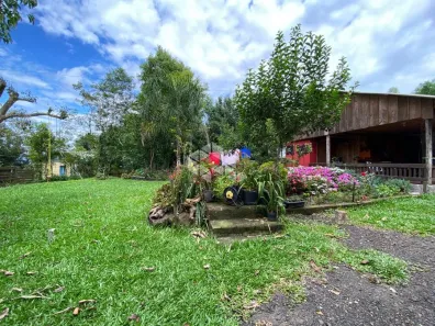 Fazenda/Sítio com 4 Quartos à venda, 25000m² no Macaco Branco, Portão