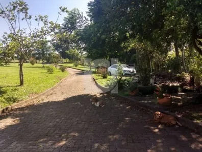 Fazenda/Sítio com 2 Quartos à venda, 100m² no Lomba Grande, Novo Hamburgo