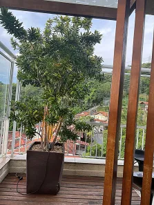 Cobertura com 3 Quartos à venda, 210m² no Santa Rosa, Niterói