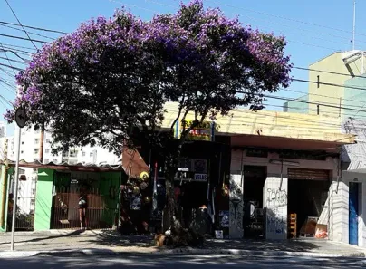 Casa com 1 Quarto à venda, 750m² no Santa Teresinha, São Paulo