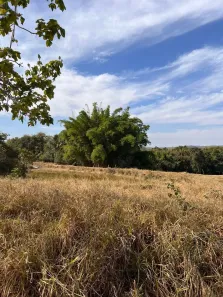 Fazenda/Sítio com 1 Quarto à venda, 62m² no Uruana, Uruana