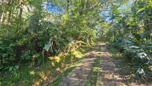 Lote/Terreno à venda, 10153m² no , Morretes