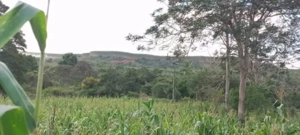 Fazenda/Sítio com 1 Quarto à venda, 601128m² no Centro, Alagoinhas