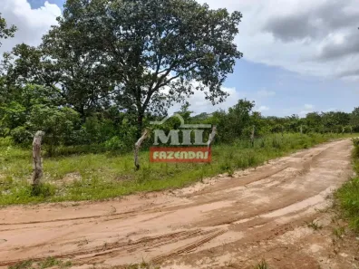 Fazenda/Sítio à venda, 1m² no , Tupiratins