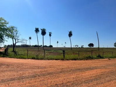 Fazenda/Sítio com 3 Quartos à venda, 508200m² no Centro, Nhandeara