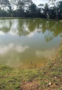 Fazenda/Sítio com 4 Quartos à venda, 37000m² no , Conde