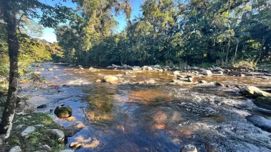 Fazenda/Sítio com 2 Quartos à venda, 1298m² no , Morretes