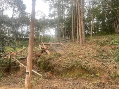 Lote/Terreno à venda, 1500m² no Centro (Mailasqui), São Roque