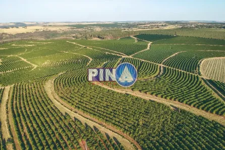 Fazenda/Sítio com 6 Quartos à venda, 10m² no Centro, Jataí