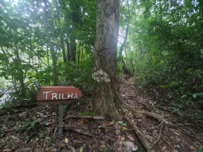 Fazenda/Sítio à venda, 30m² no Pinhal Alto, Nova Petrópolis