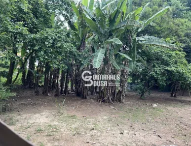 Lote/Terreno à venda, 3233m² no Chácaras São Bento, Valinhos