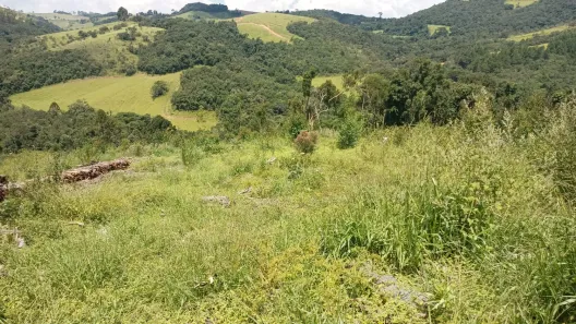 Lote/Terreno à venda, 210000m² no , Senador Amaral