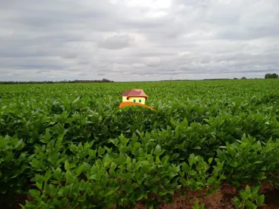 Fazenda/Sítio à venda, 11370000m² no , Santa Rita do Tocantins