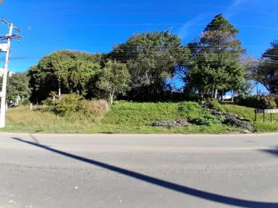 Lote/Terreno à venda, 240m² no Jardim América, Capão do Leão