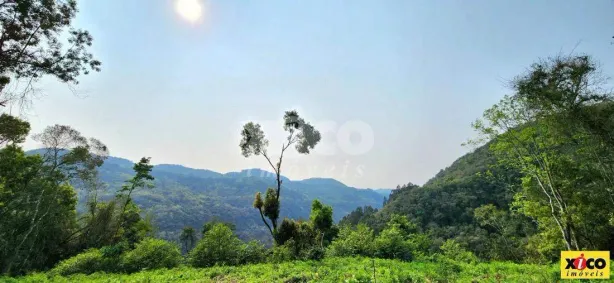 Lote/Terreno à venda, 5000m² no , Nova Petrópolis