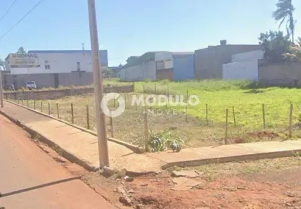 Lote/Terreno à venda, 725m² no Custódio Pereira, Uberlândia