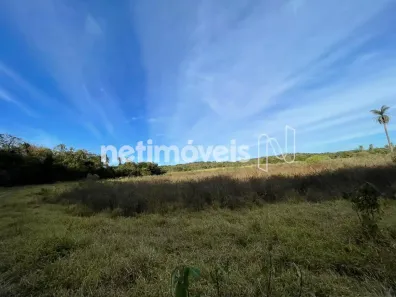 Fazenda/Sítio com 4 Quartos à venda, 257025m² no , Florestal