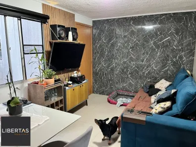 Apartamento com 2 Quartos à venda, 41m² no Igara, Canoas