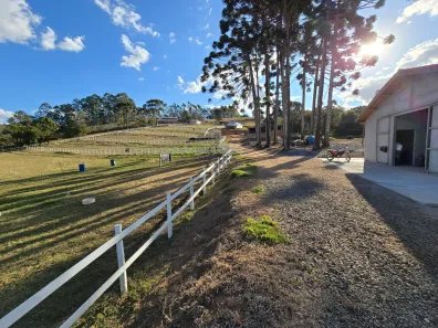 Fazenda/Sítio com 5 Quartos à venda, 70000m² no Itapeva, Itapeva