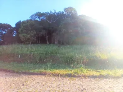 Lote/Terreno à venda, 1925m² no Linha 40, Caxias do Sul