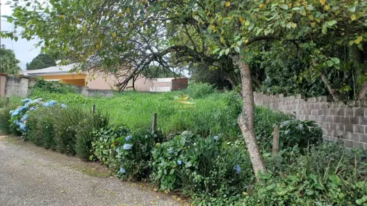 Lote/Terreno à venda, 420m² no Vila Otto, Campo Largo