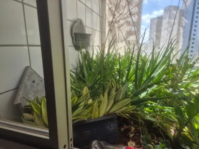 Apartamento com 4 Quartos à venda, 87m² no Casa Amarela, Recife