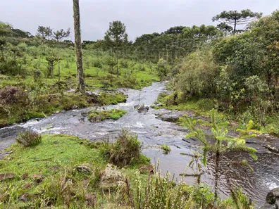 Fazenda/Sítio à venda, 39000000m² no , Rio Rufino