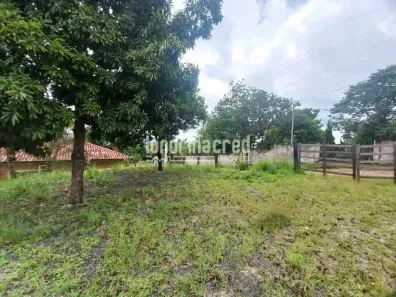 Fazenda/Sítio com 1 Quarto à venda, 1000m² no Área Rural de Londrina, Londrina