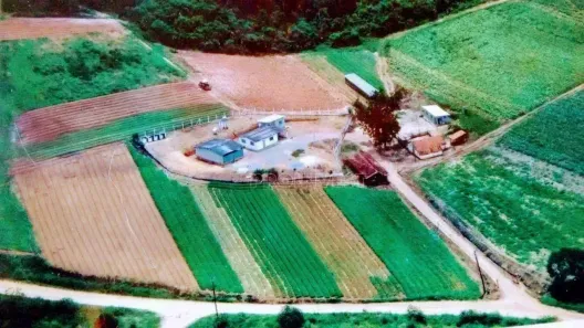 Lote/Terreno à venda, 83268m² no Santana, Cotia
