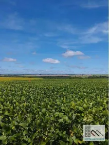 Fazenda/Sítio com 5 Quartos à venda, 500m² no Centro, Caldas Novas