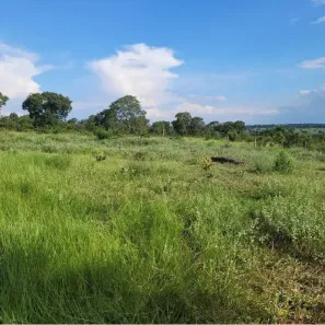 Fazenda/Sítio à venda, 80000m² no , Ribas do Rio Pardo