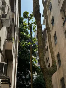Apartamento com 3 Quartos à venda, 200m² no Flamengo, Rio de Janeiro
