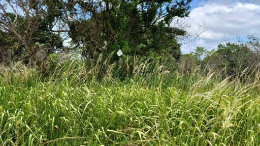 Lote/Terreno à venda, 450m² no Itatiquara, Araruama